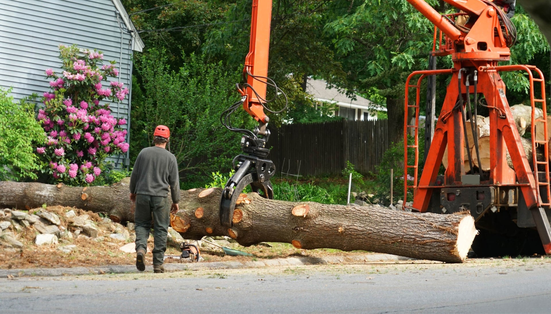 A tree stump has fallen and needs tree removal services in Gainesville, FL.
