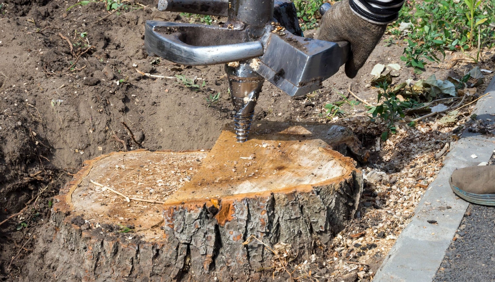 A stump grinding expert wearing work gloves for project in Gainesville, FL.